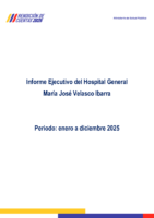 Fase 2. Informe Ejecutivo Preliminar